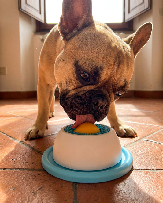 FreshPaw® LickCalm — Piatto Anti-Ansia per Cani |  Riduce lo Stress da Separazione in Estate